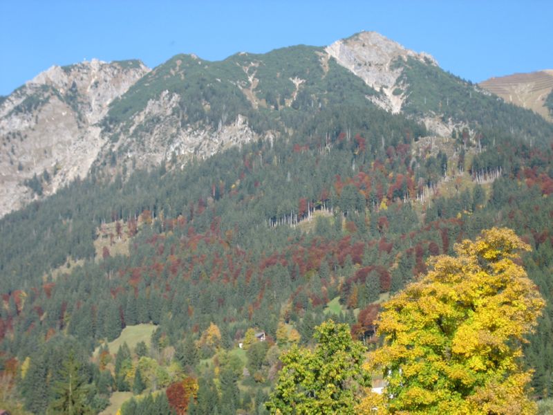 2008-10-11 Daumen (25) Fall colors